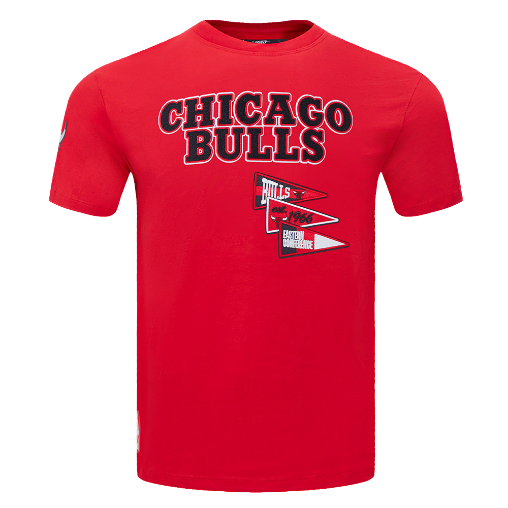 NBA CHICAGO BULLS TEAM PENNATS MEN'S WORDMARK SJ TEE (RED) Pro Standard