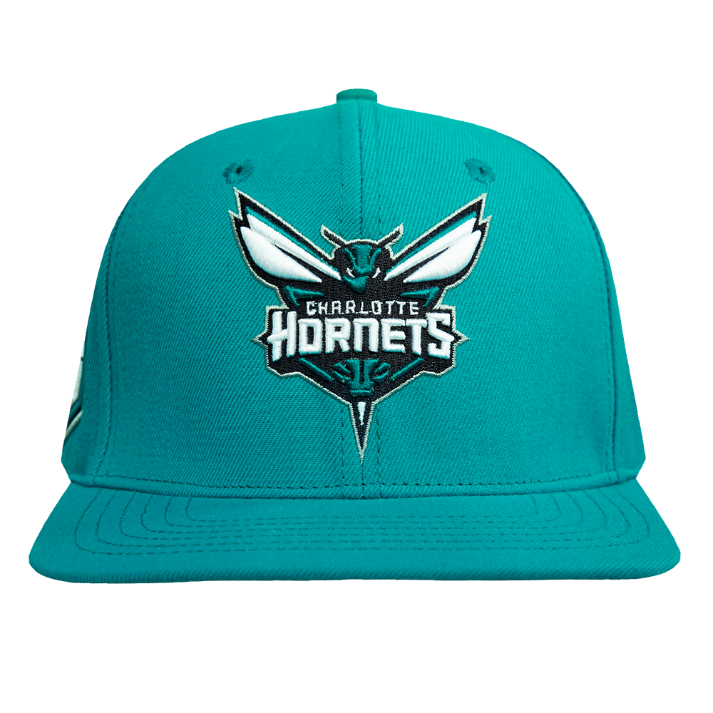 charlotte hornets fitted hat
