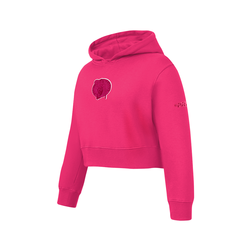 NBA BOSTON CELTICS TRIPLE PINK BIG GIRLS FLC PO HOODIE (BEETROOT PURPLE)