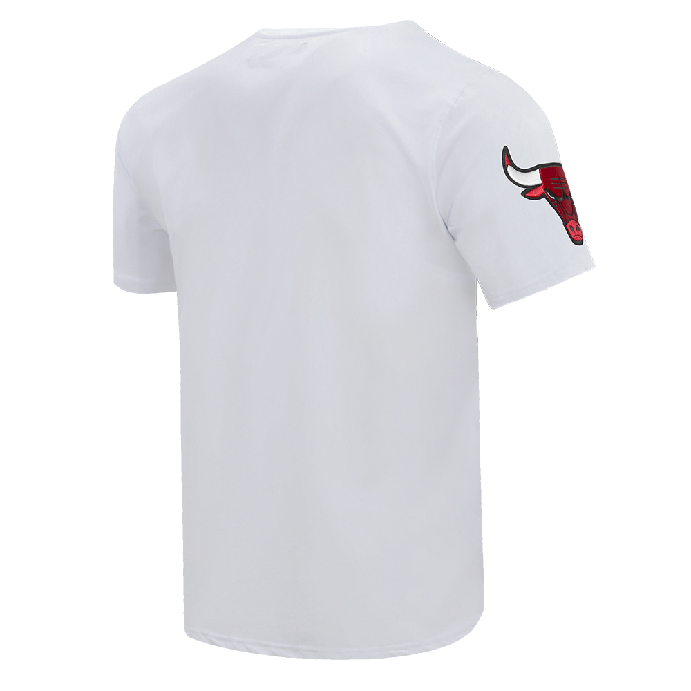 Men's Chicago Bulls Pro Standard Black Chenille Team Wordmark T-Shirt