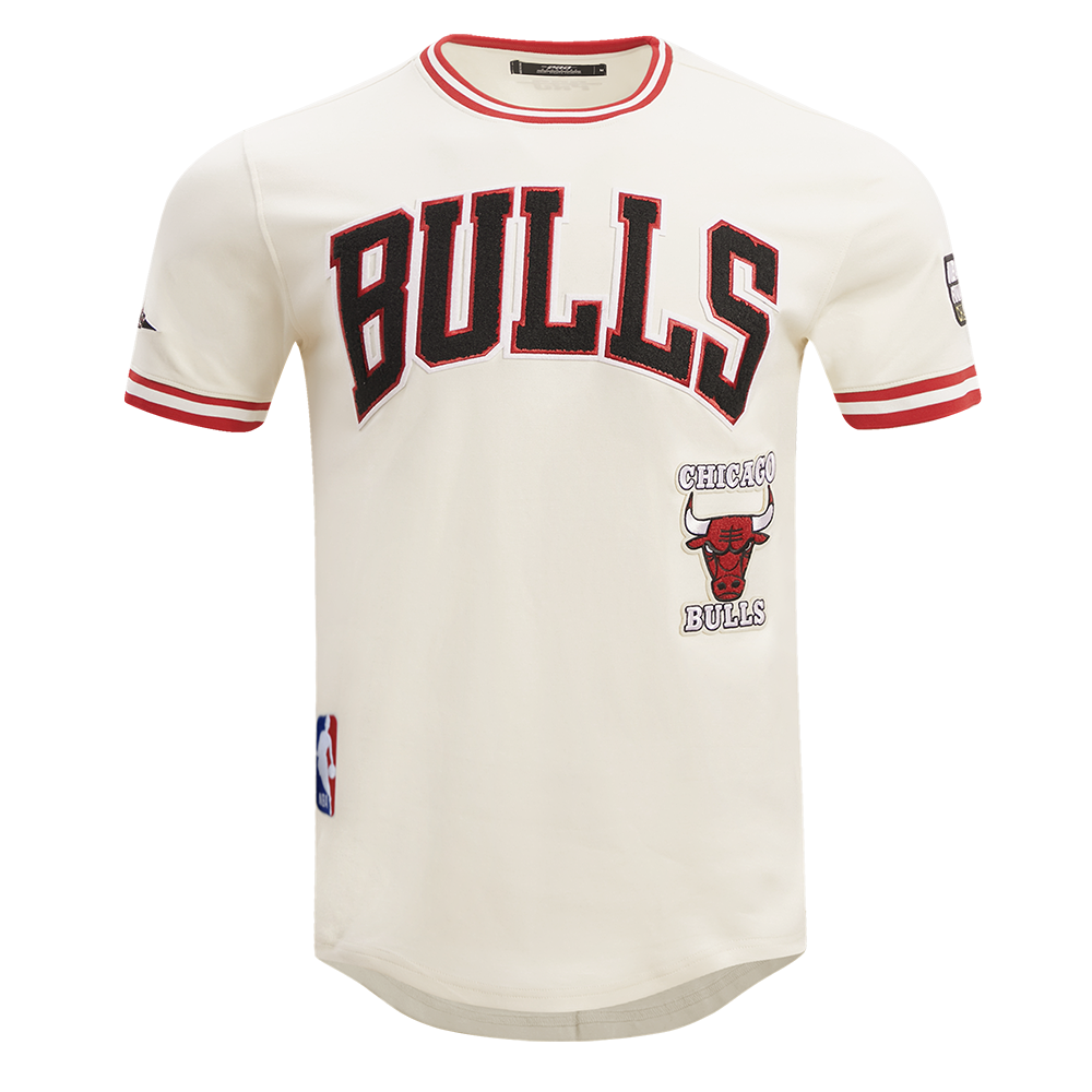 Chicago bulls t shirt mens on sale