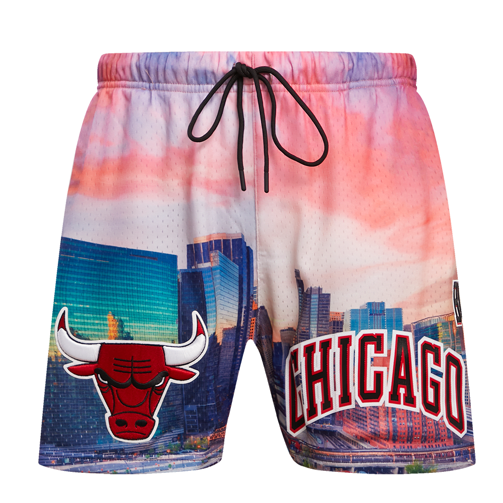 Chicago Bulls Pro Standard Cityscape Shorts