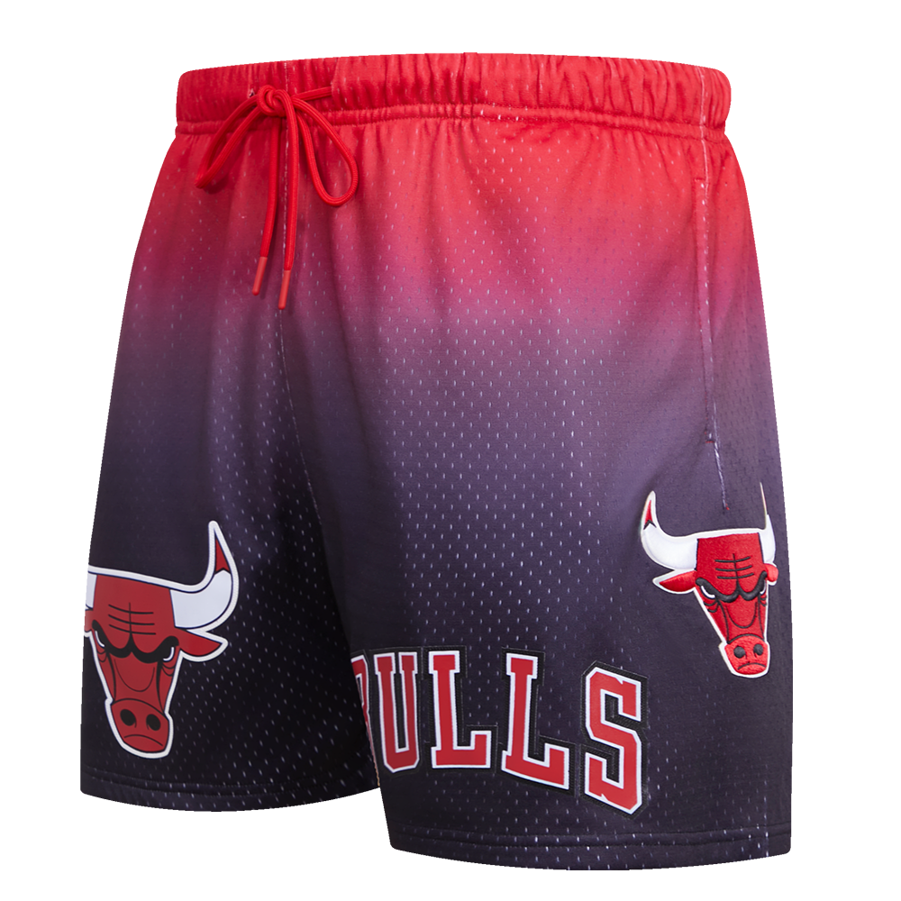 PRO STANDARD Chicago Bulls Logo Pro Team Mesh Shorts BCB353899-BLK
