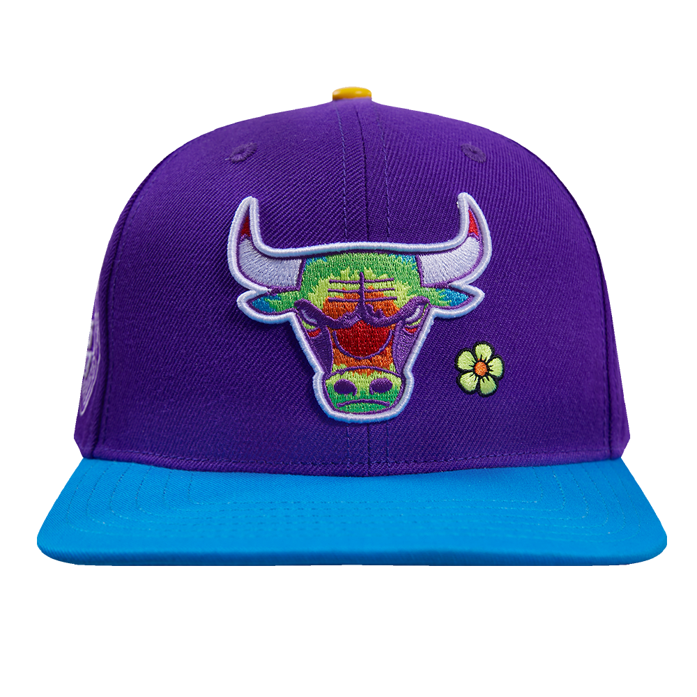Purple chicago bulls hat sales