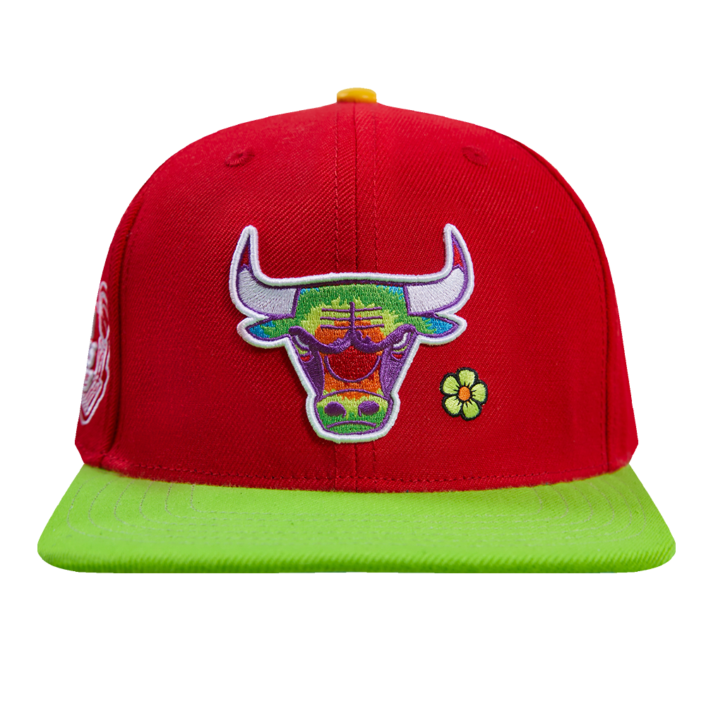 RED & Green Chicago Bulls hat snapback. NEW