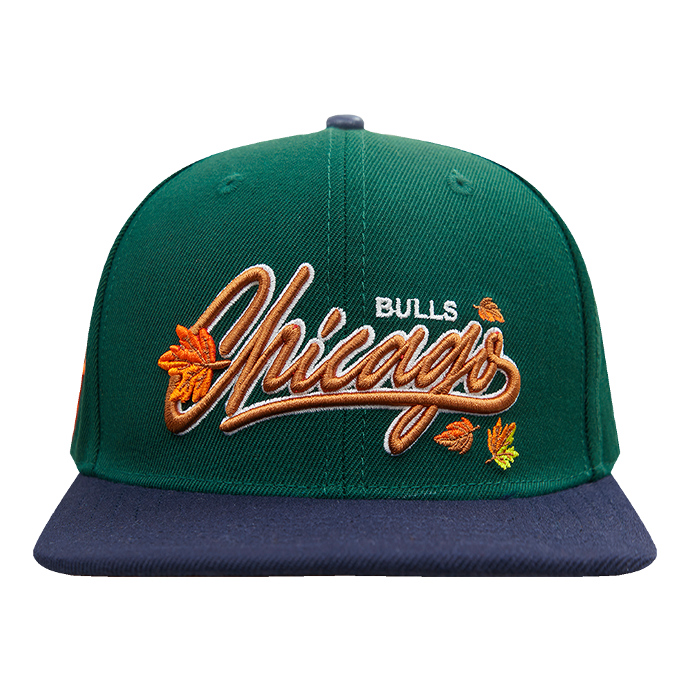 Mitchell & Ness Chicago Bulls Wool 2 Tone Snapback Grey Bottom