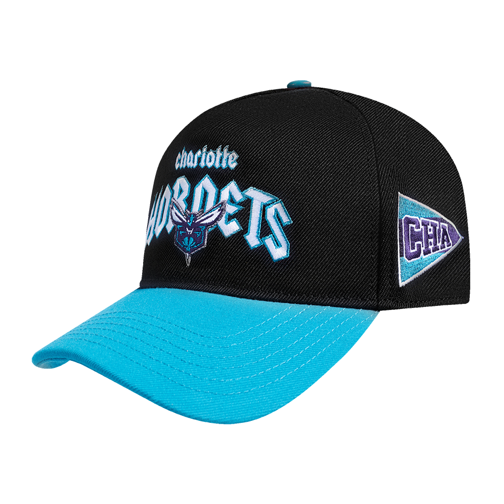 NBA CHARLOTTE HORNETS CITY TOUR CURVED SNAPBACK HAT (BLACK)