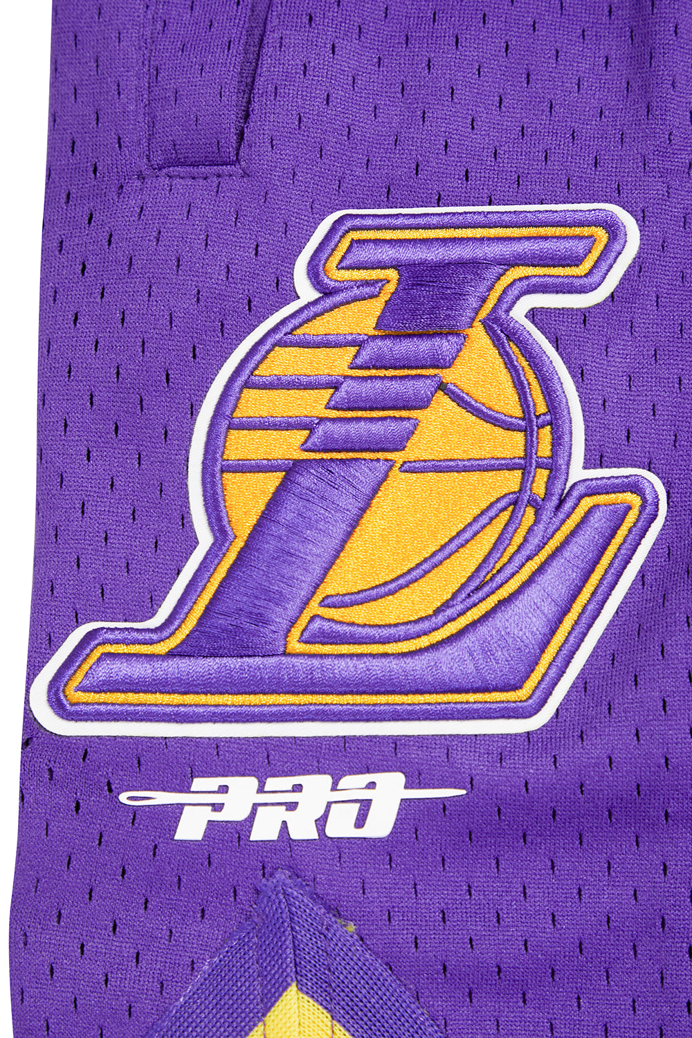 Pro Standard Los Angeles Lakers Retro Classic Dk 2.0 Short (Black/purple/yellow) M
