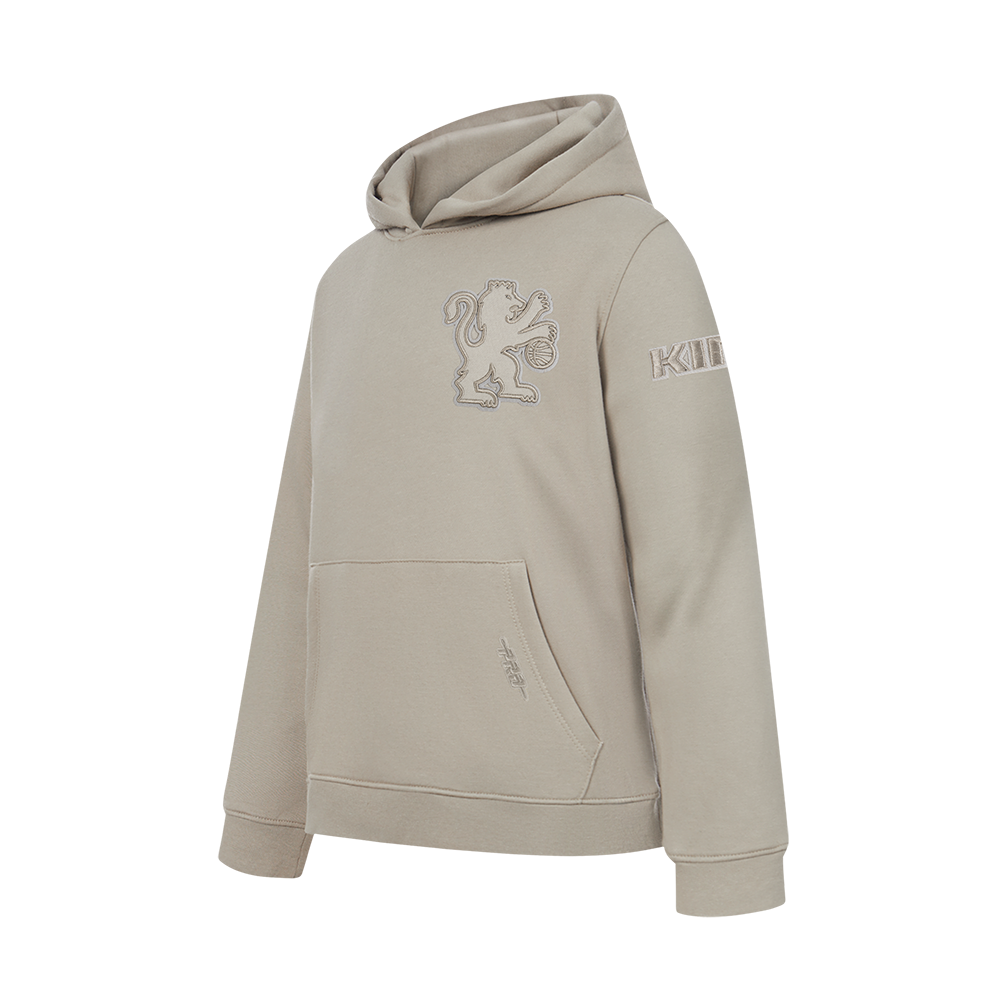 NBA SACRAMENTO KINGS NEUTRAL BIG BOYS FLC PO HOODIE (TAUPE)