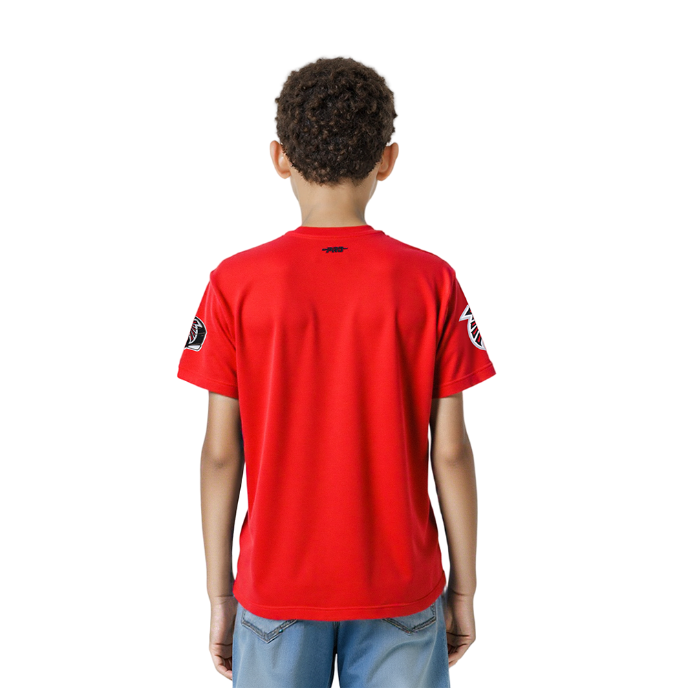 NFL ATLANTA FALCONS CLASSIC LITTLE BOY'S SS TEE (RED)