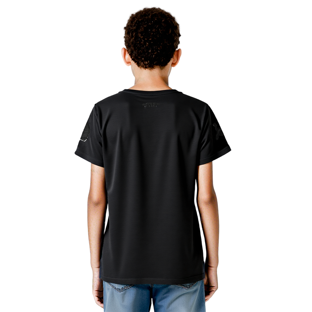 NFL DETROIT LIONS TRIPLE BLACK BIG BOYS SHORT SLEEVE TEE (BLACK)