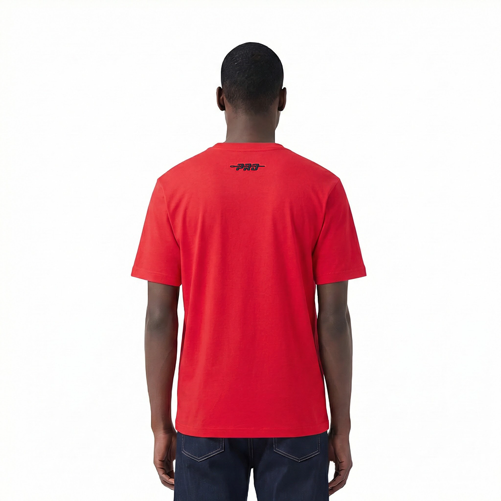 NHL DETROIT RED WINGS SOUVENIR MEN'S SJ TEE (RED)