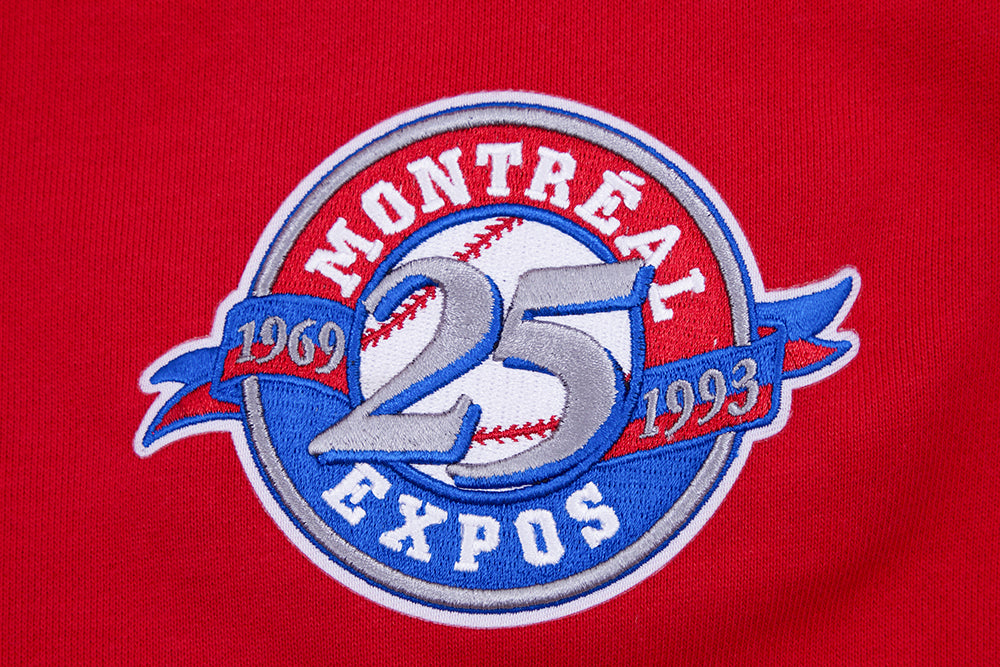 Vintage 1969 Montreal Expos Classic - Montreal Expos - T-Shirt