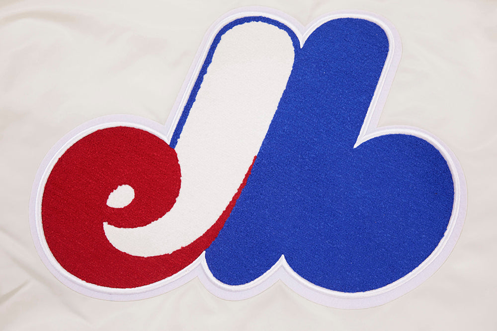 Montreal Expos Youth City Pride Logo MLB Baseball T Shirt - Multiple S –  Bleacher Bum Collectibles
