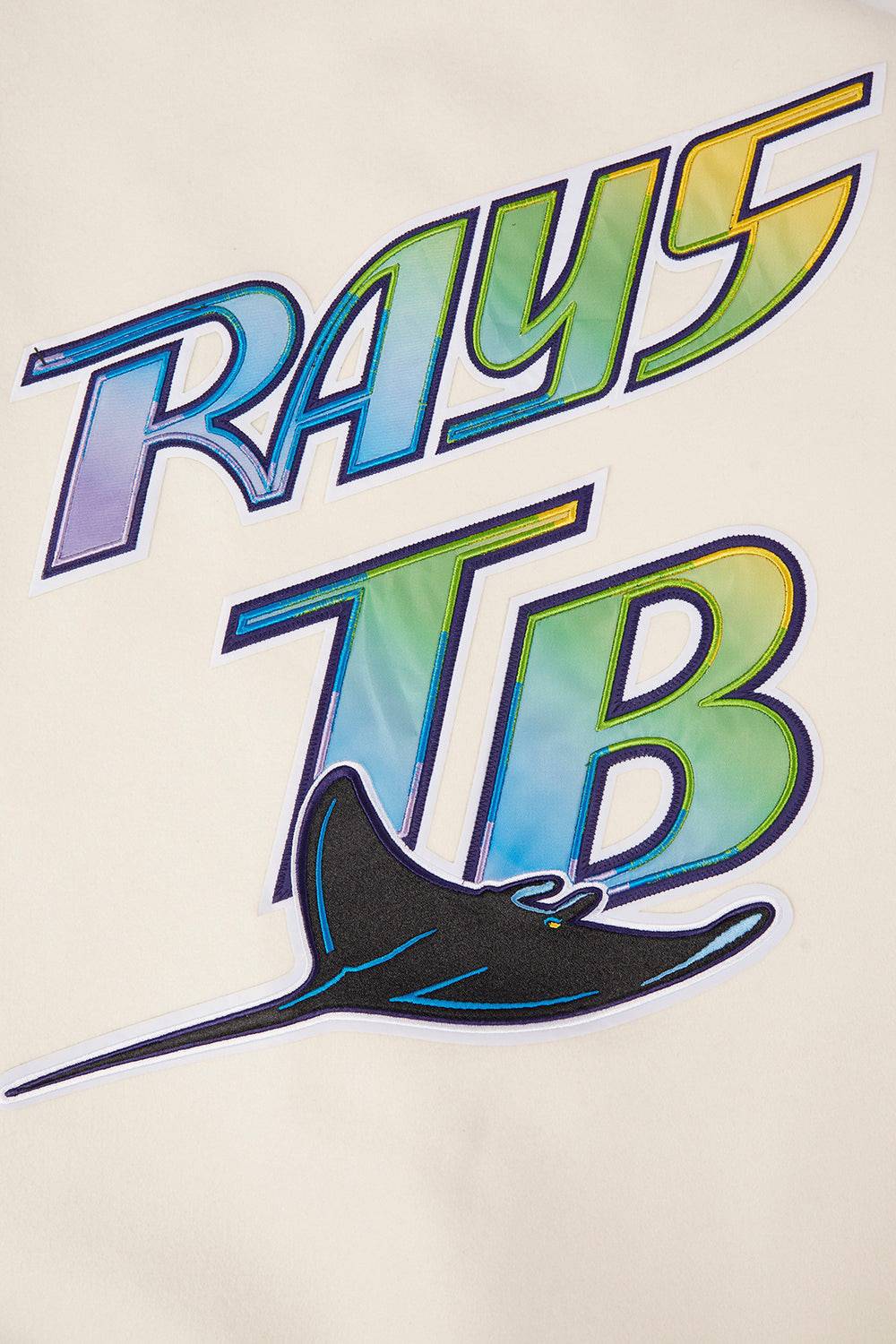 Tampa Bay Devil Rays Logo