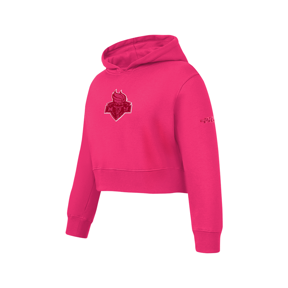 WNBA NEW YORK LIBERTY CLASSIC TRIPLE PINK BIG GIRLS FLC PO HOODIE (BEETROOT PURPLE)