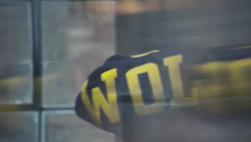 MICHIGAN video