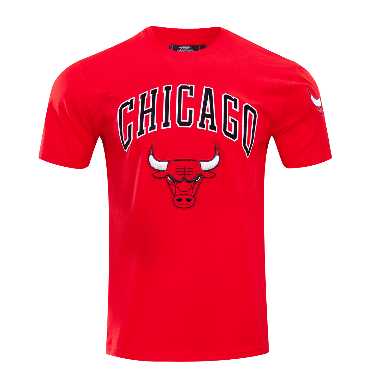 NBA CHICAGO BULLS CLASSIC BRISTLE MEN'S TEE (RED)