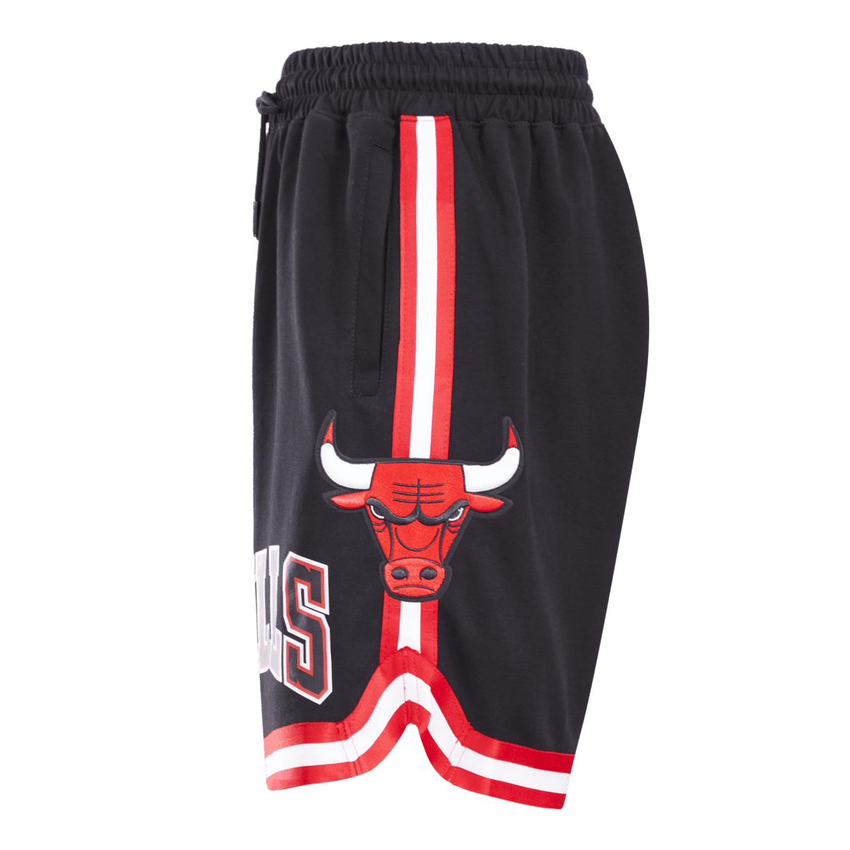 Pro Standard NBA Chicago Bulls shorts in black – R.O.K. Island