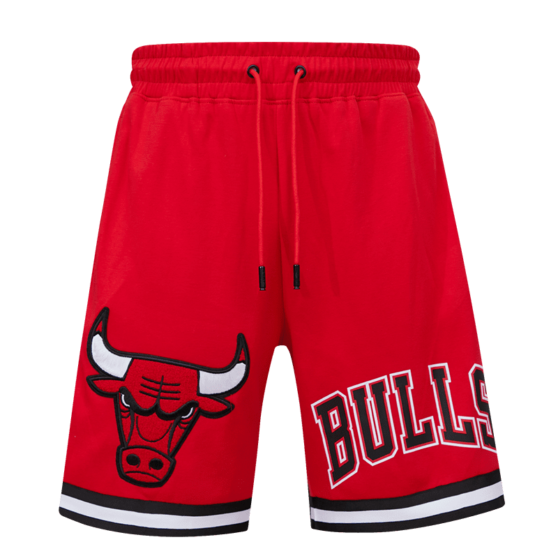 Chicago bulls team 2024 shorts
