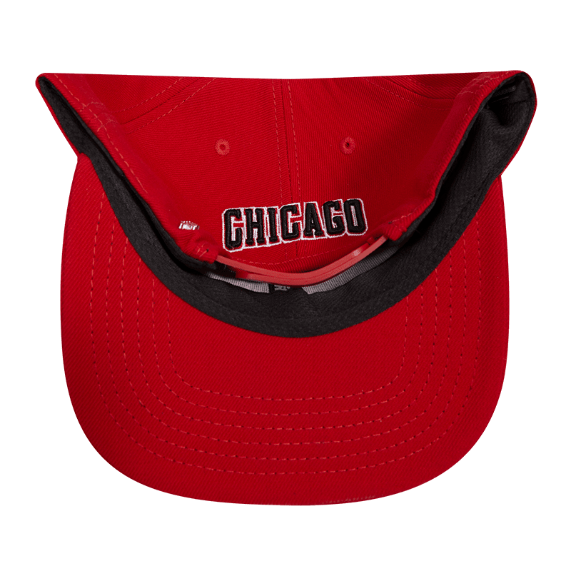 Chicago Bulls Pro Standard Mashup Logos Snapback Hat - Frank's