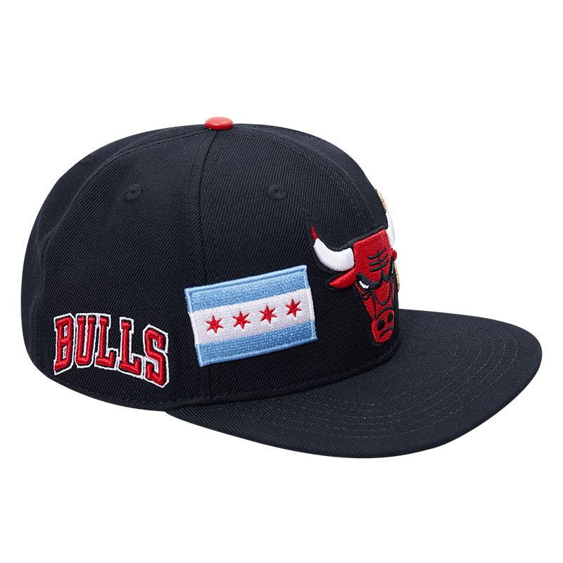 Chicago Bulls Pro Standard Double Logo Snapback Hat - Black
