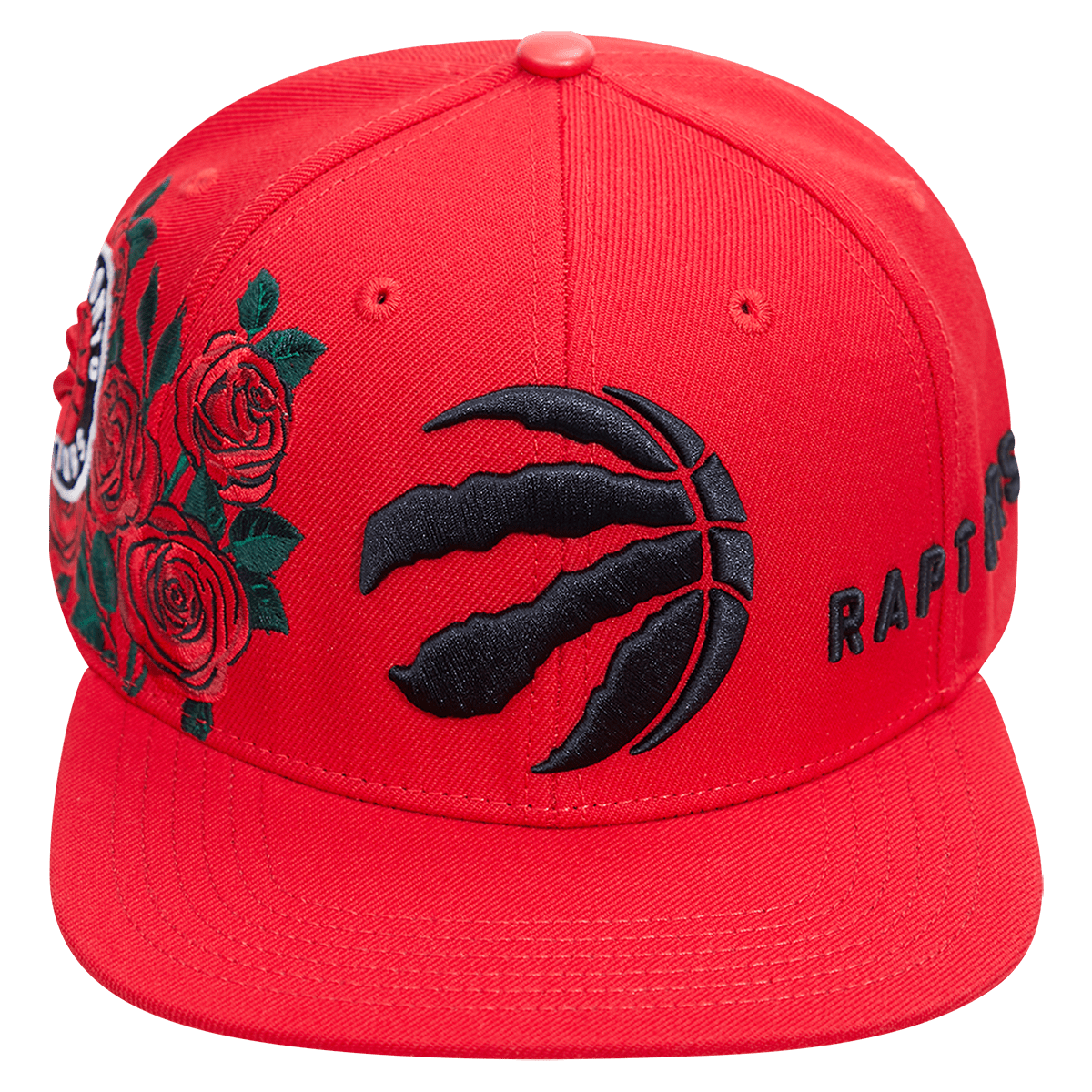 Toronto raptors snapbacks sales